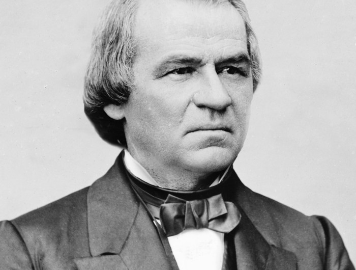 Portrait of Andrew Johnson, the 17th President of the United States
