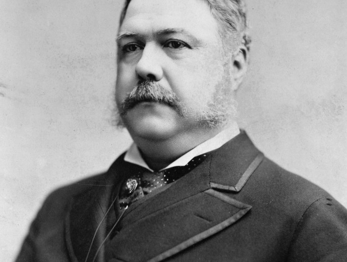 Portrait of Chester A. Arthur the 21st President of the United States