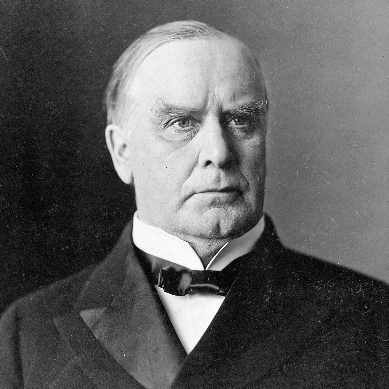 Portrait of William McKinley, the 25th President of the United States