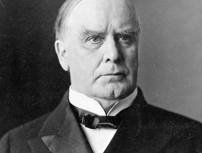 Portrait of William McKinley, the 25th President of the United States