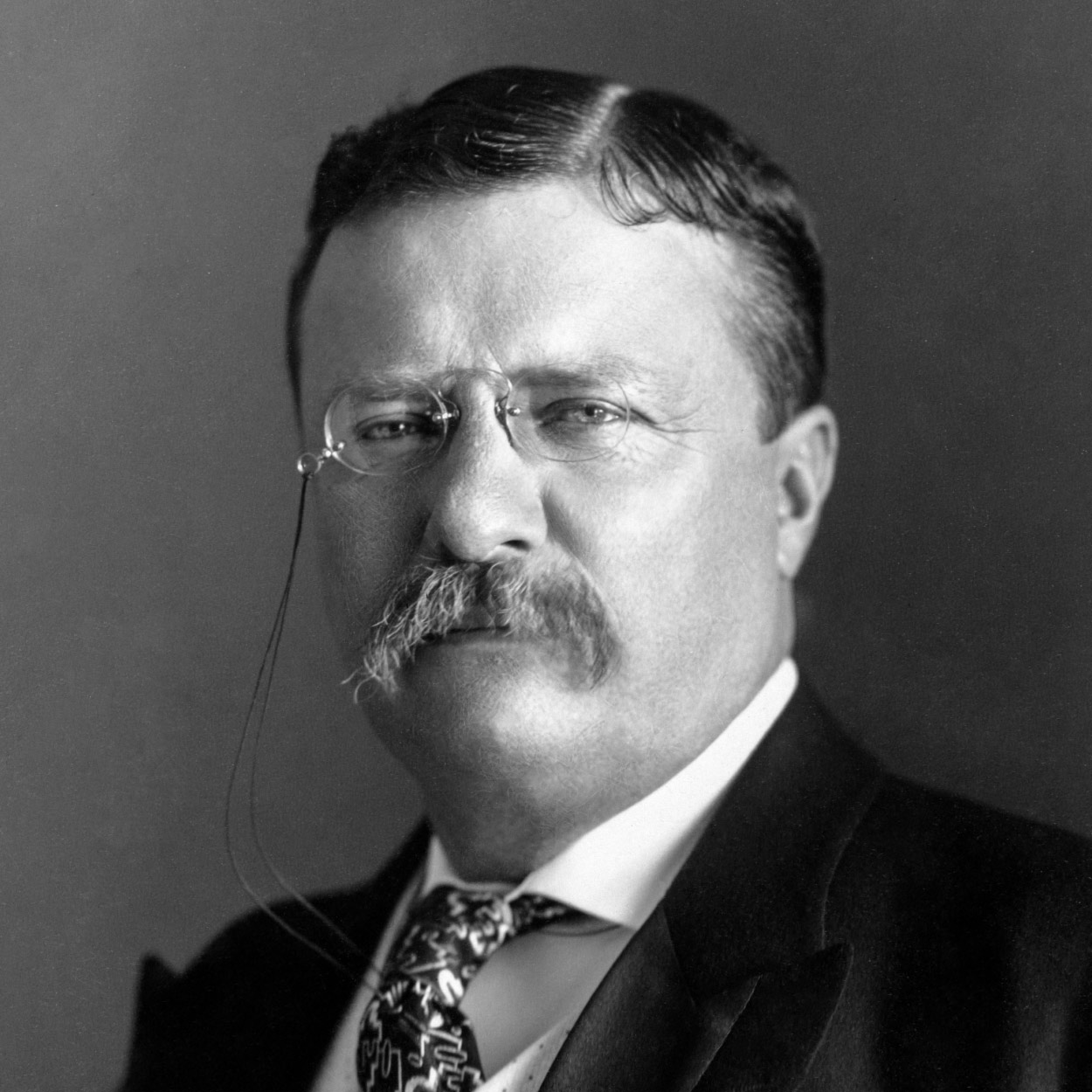 Portrait of Theodore Roosevelt, the 26th President of the United States
