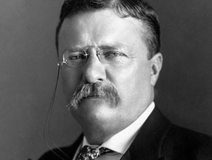 Portrait of Theodore Roosevelt, the 26th President of the United States