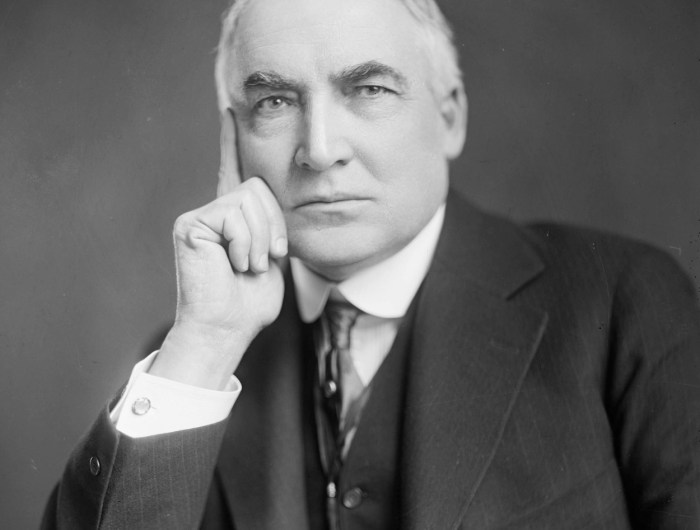 Portrait of Warren G. Harding, the 29th President of the United States