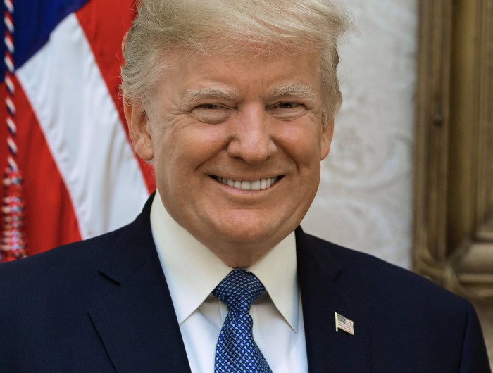 Portrait of Donald J. Trump, the 45th President of the United States