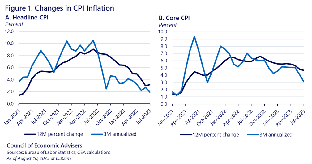 Decoding the Consumer Price Index: Economic Insights