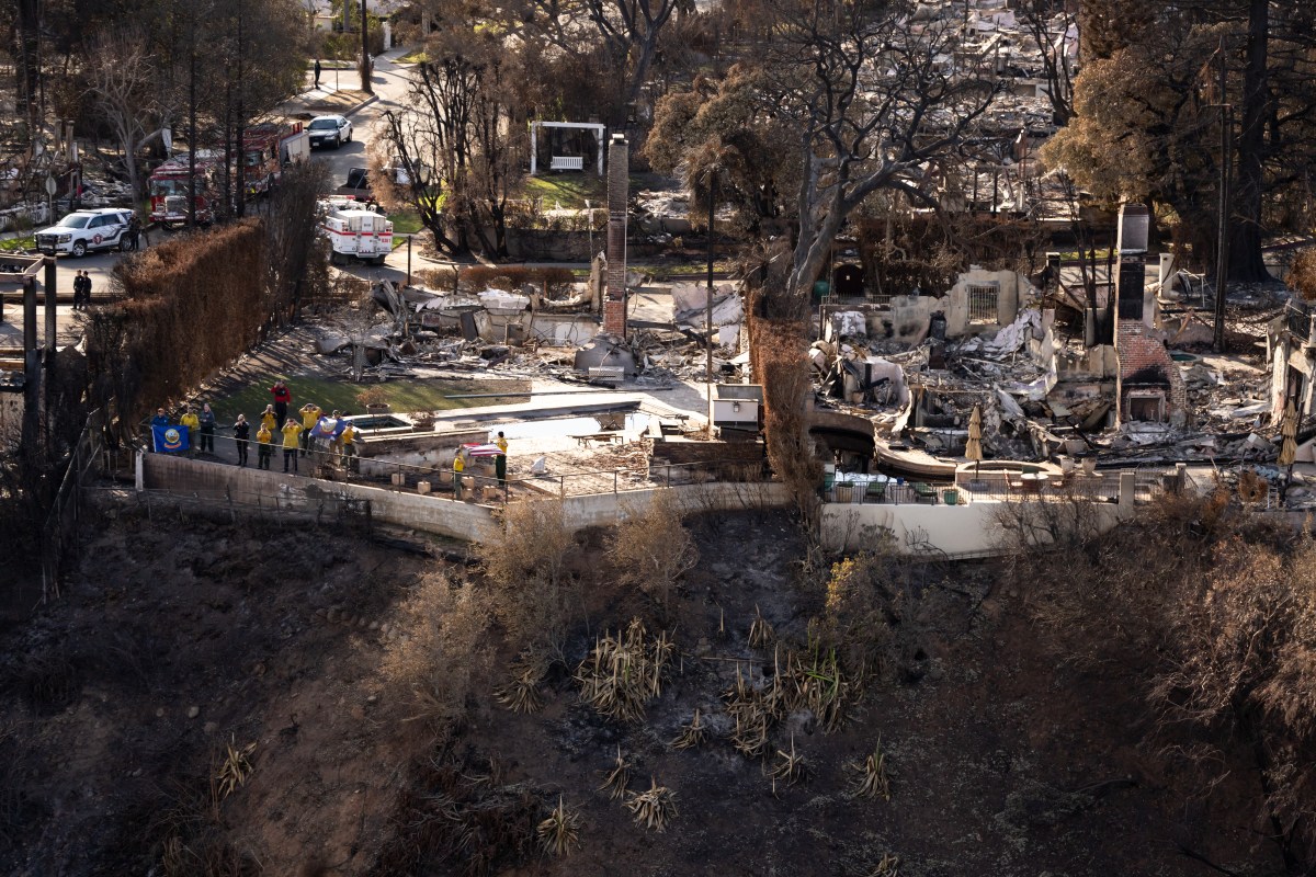 The devastation from the Palisades Fire is seen from the air in the Pacific Palisades neighborhood of Los Angeles, Calif., Friday, Jan.24, 2025 (Official White House Photo by Andrea Hanks)
