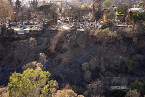 The devastation from the Palisades Fire is seen from the air in the Pacific Palisades neighborhood of Los Angeles, Calif., Friday, Jan.24, 2025 (Official White House Photo by Andrea Hanks)