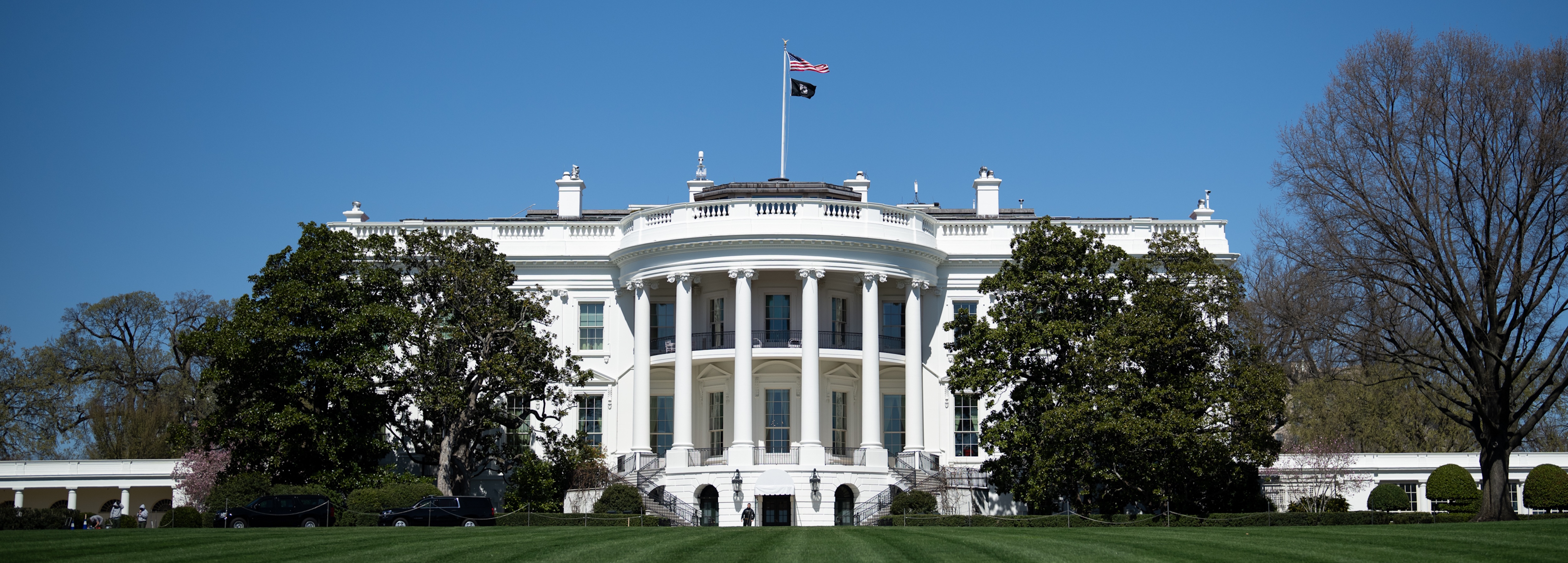the white house executive branch