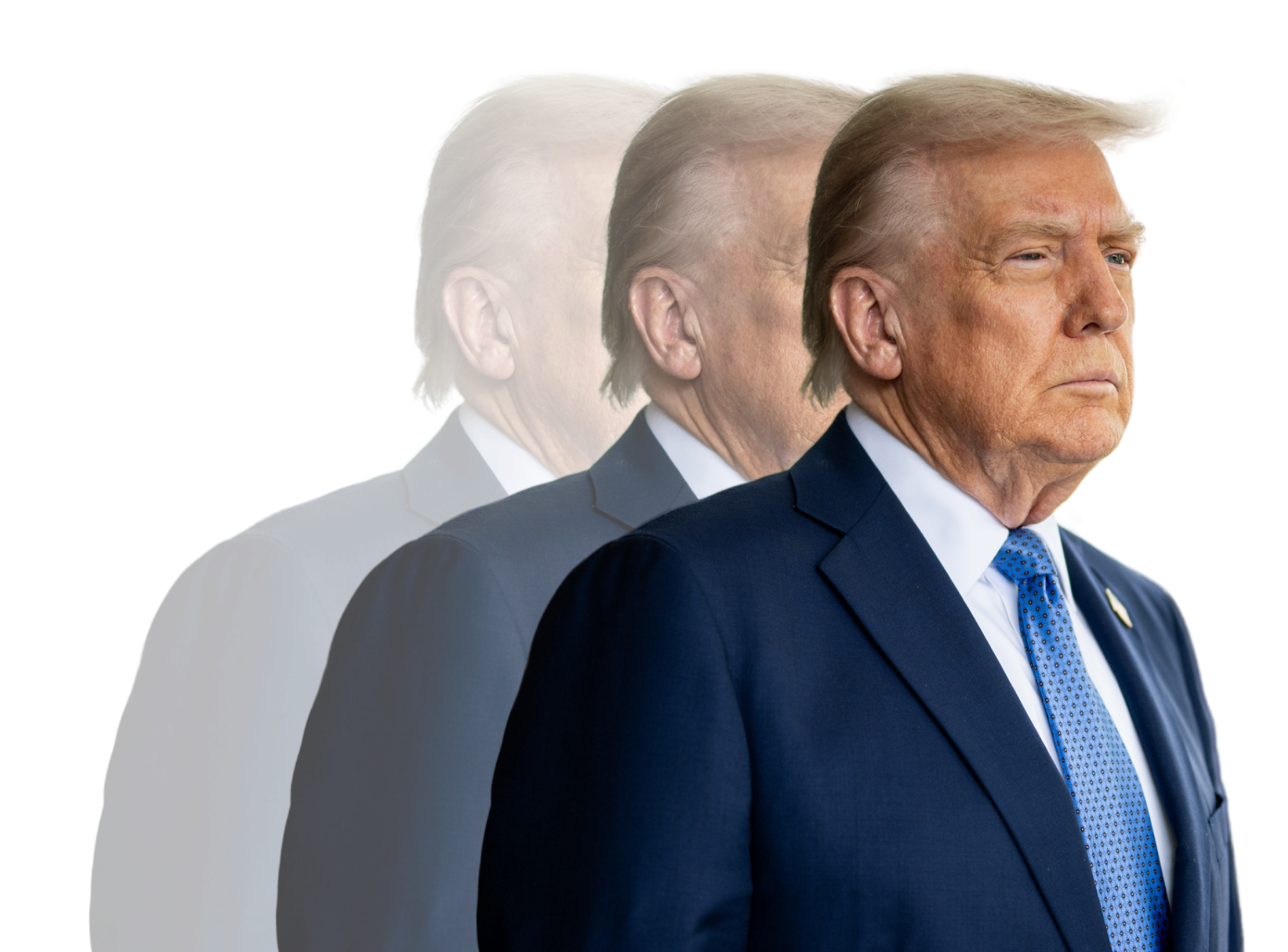Trump Investment Effect