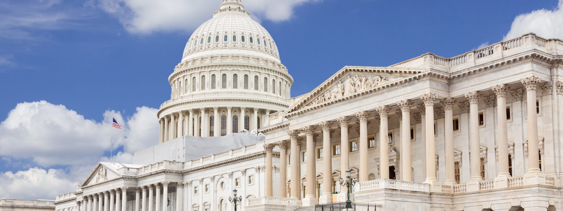 united states legislative branch congress