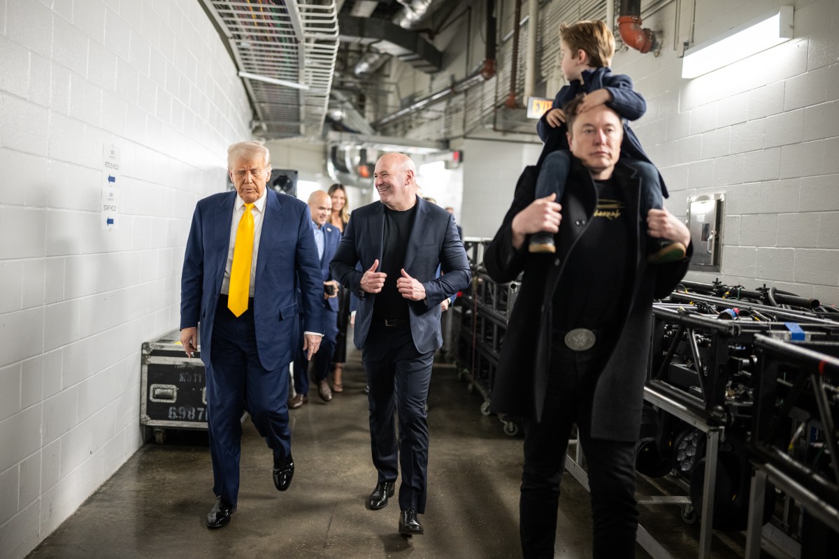 President Donald Trump attends UFC 314 at the Kaseya Center in Miami, Florida, Saturday, April 12, 2025. (Official White House Photo by Daniel Torok)