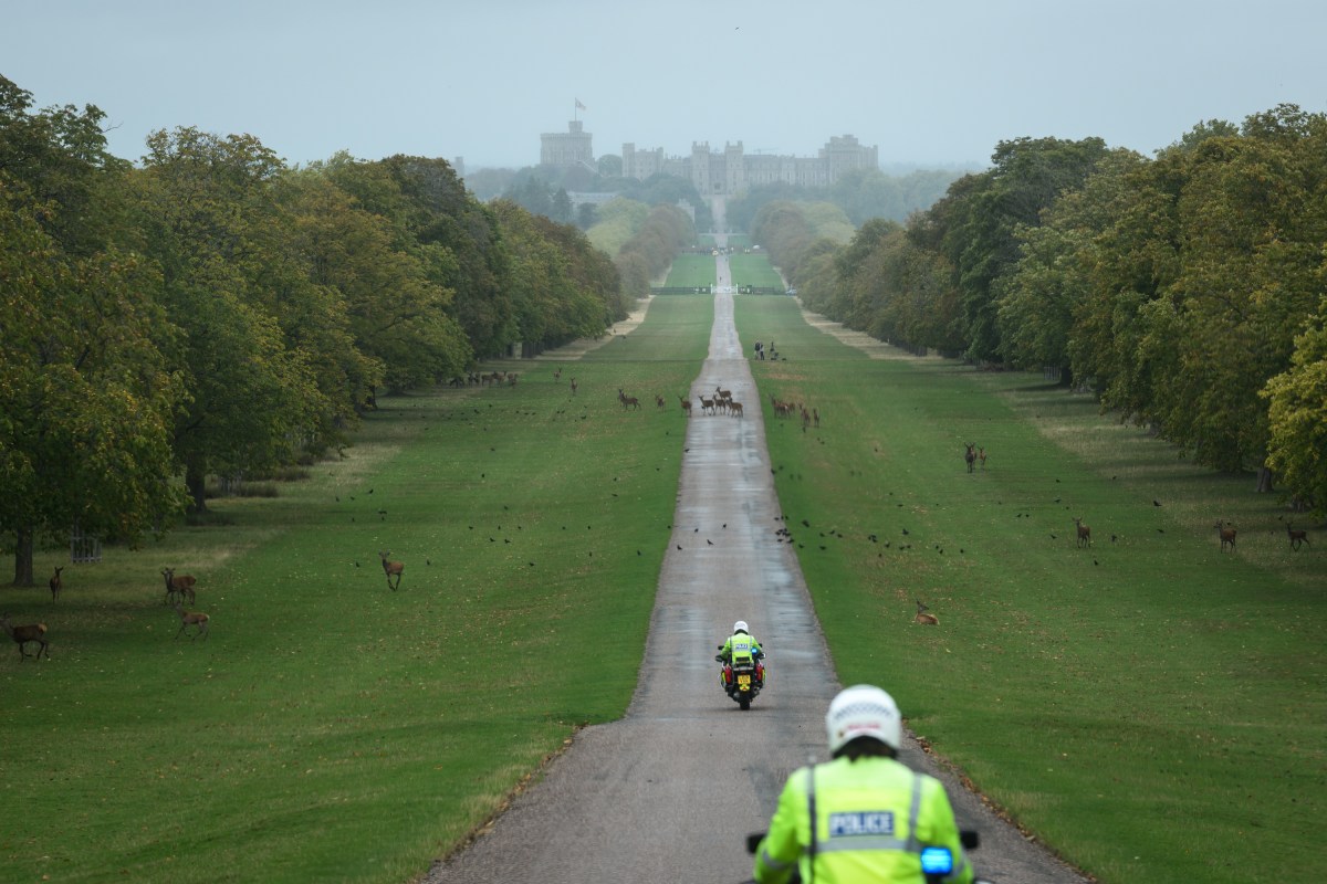 President Donald Trump and First Lady Melania Trump are greeted by King Charles III, Queen Camilla, and the Prince and Princess of Wales, William and Katherine, at the landing zone at Windsor Castle in Windsor, England on Wednesday, September 17, 2025. (Official White House Photo by Daniel Torok)