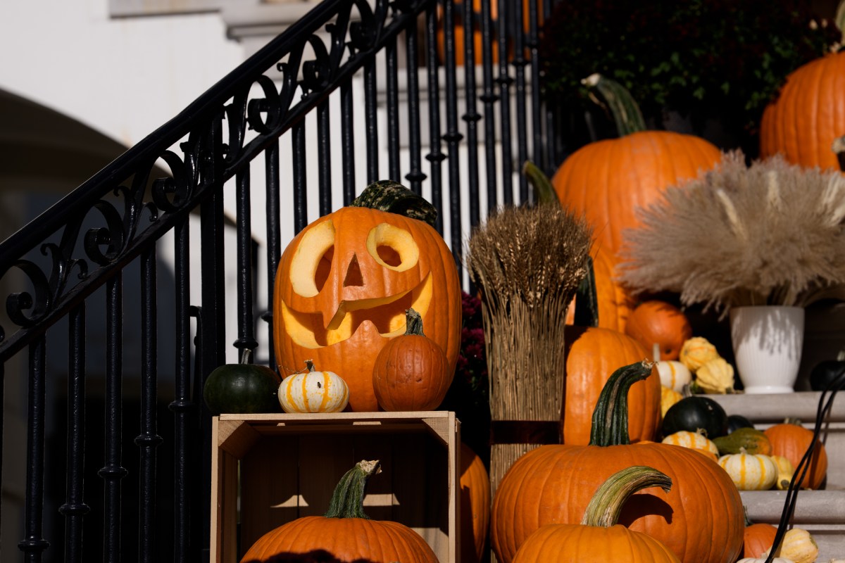 First Lady Melania Trump makes an announcement concerning the reunification of Ukranian children with their families in the Russian Ukraine conflict in the Grand Foyer of the White House, Friday October 10, 2025.  (Official White House Photo by Andrea Hanks)