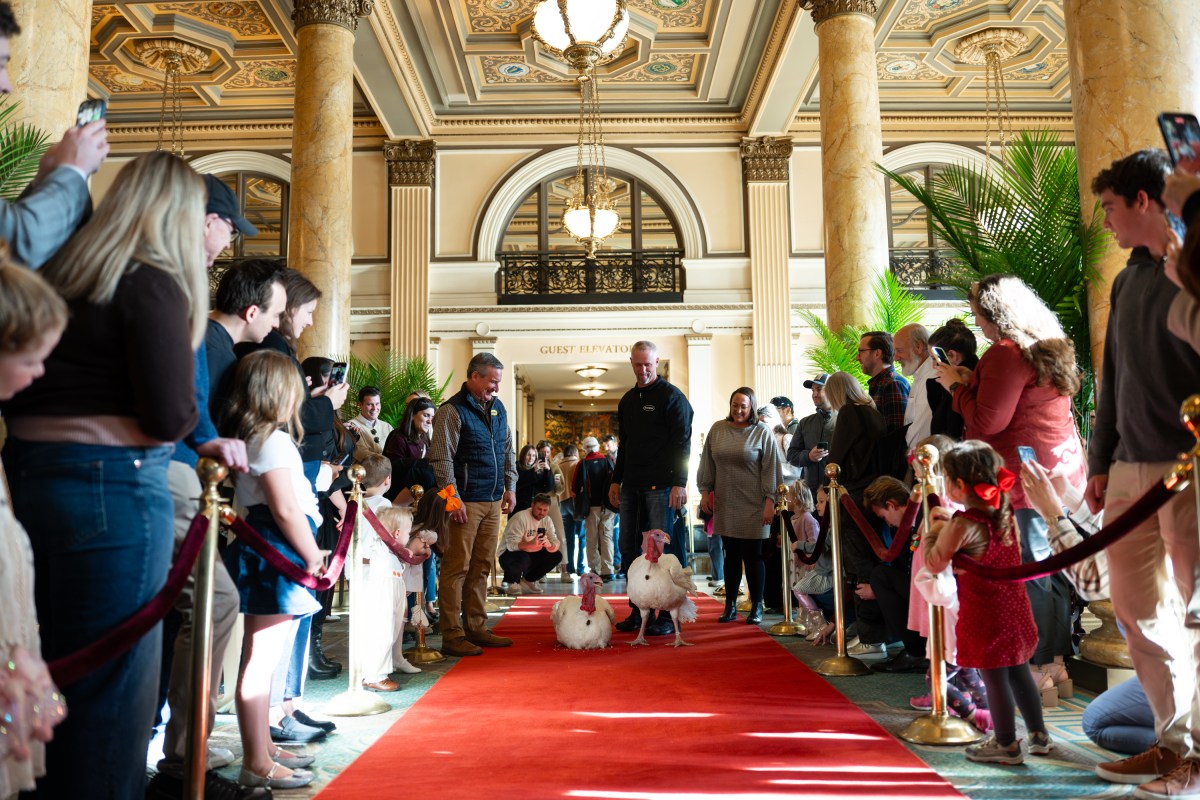 The 2025 Presidential Turkeys, named Gobble and Waddle, arrive at the Willard InterContinental Hotel in Washington, D.C., on Sunday, November 24, 2025. (Official White House Photo by Andrea Hanks)