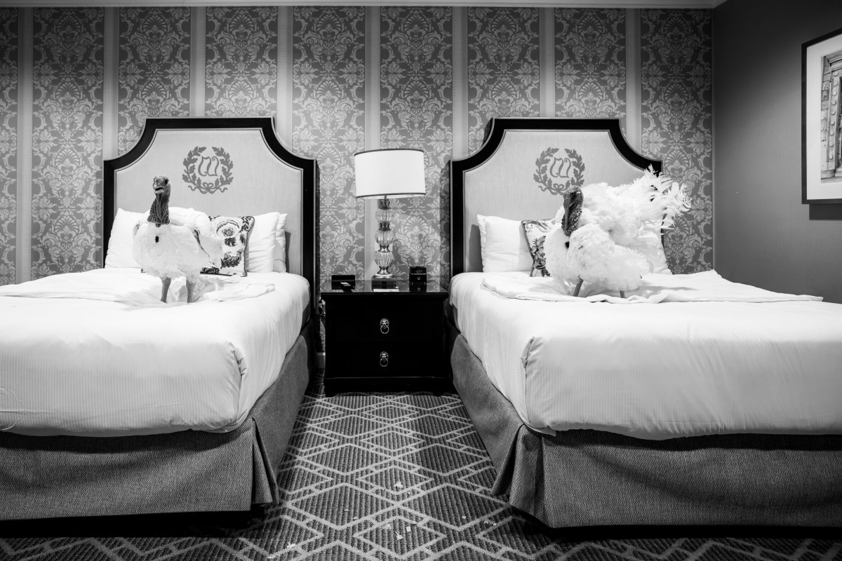 The 2025 Presidential Turkeys, named Gobble and Waddle, arrive at the Willard InterContinental Hotel in Washington, D.C., on Sunday, November 24, 2025. (Official White House Photo by Andrea Hanks)