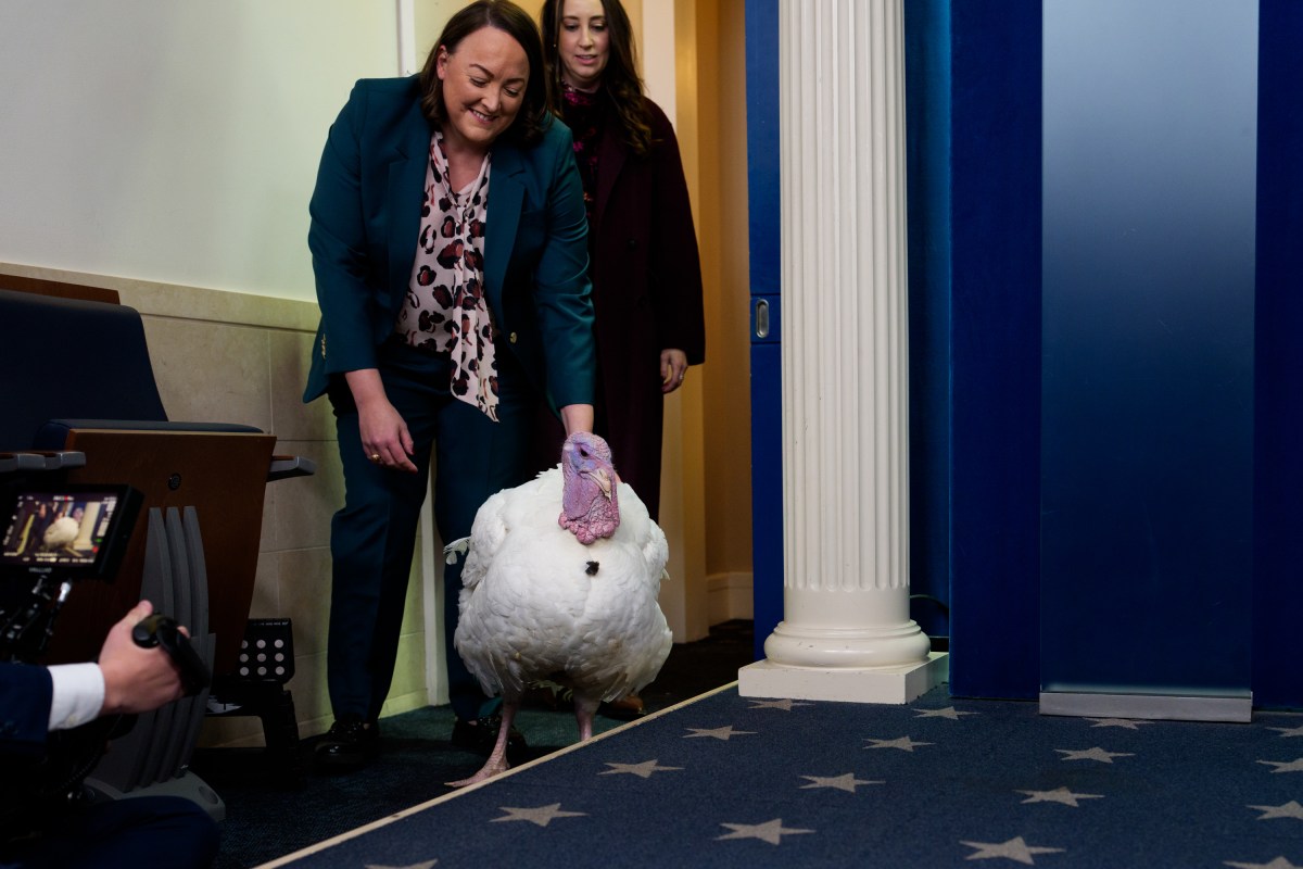 The 2025 Presidential Turkeys, named Gobble and Waddle, hold a press briefing in the James E. Brady briefing room, along with White House Press Secretary, Karoline Leavitt,  at the White House, Tuesday, November 25, 2025. (Official White House Photo by Andrea Hanks)