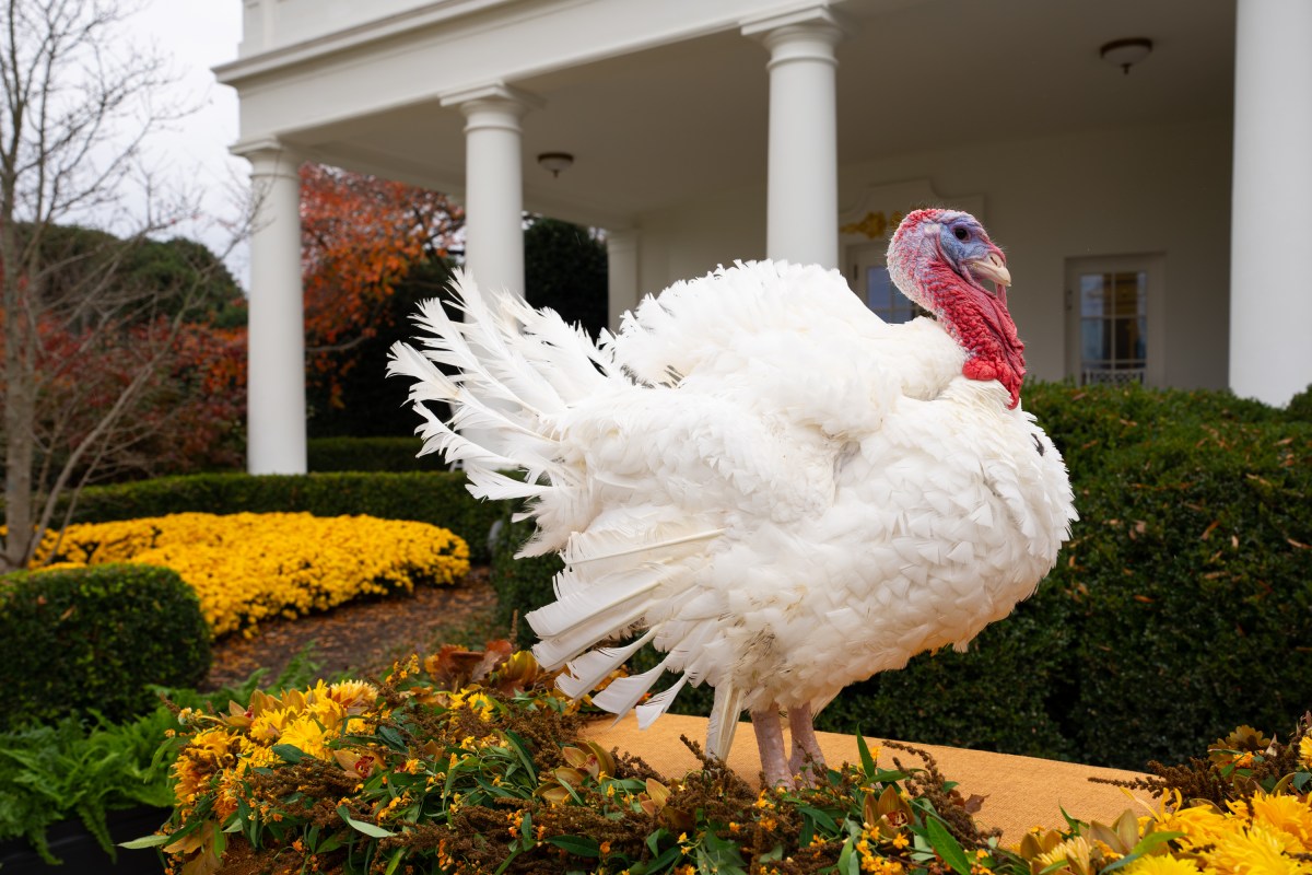 White House Press Secretary, Karoline Leavitt, poses with her press team on the Colonnade at the White House, Tuesday, November 25, 2025. (Official White House Photo by Andrea Hanks)