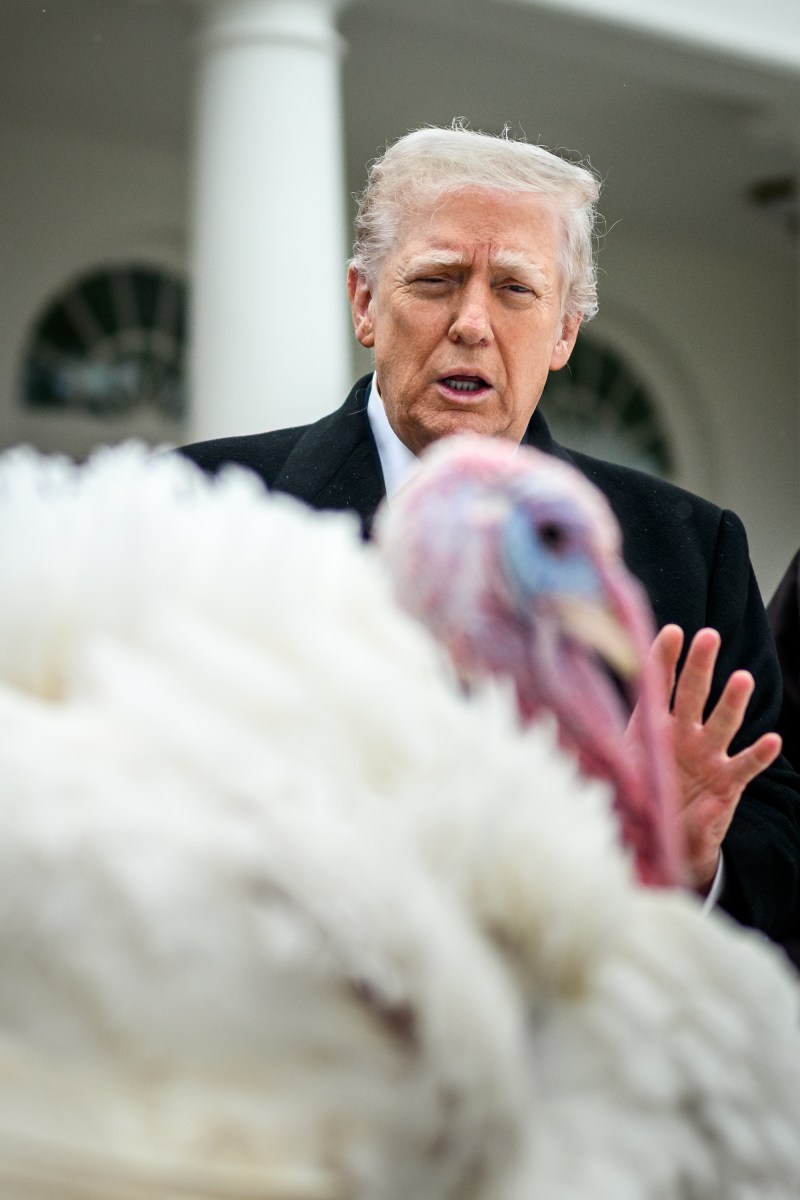 President Donald Trump and First Lady Melania Trump participate in the annual ceremony to pardon the national Thanksgiving turkeys, Tuesday, November 25, 2025, in the White House Rose Garden. (Official White House Photo by Daniel Torok)