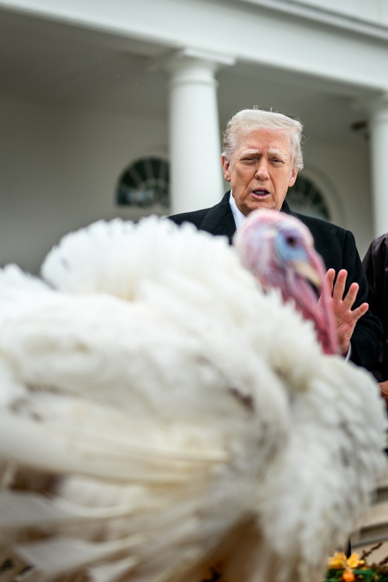 President Donald Trump and First Lady Melania Trump participate in the annual ceremony to pardon the national Thanksgiving turkeys, Tuesday, November 25, 2025, in the White House Rose Garden. (Official White House Photo by Daniel Torok)