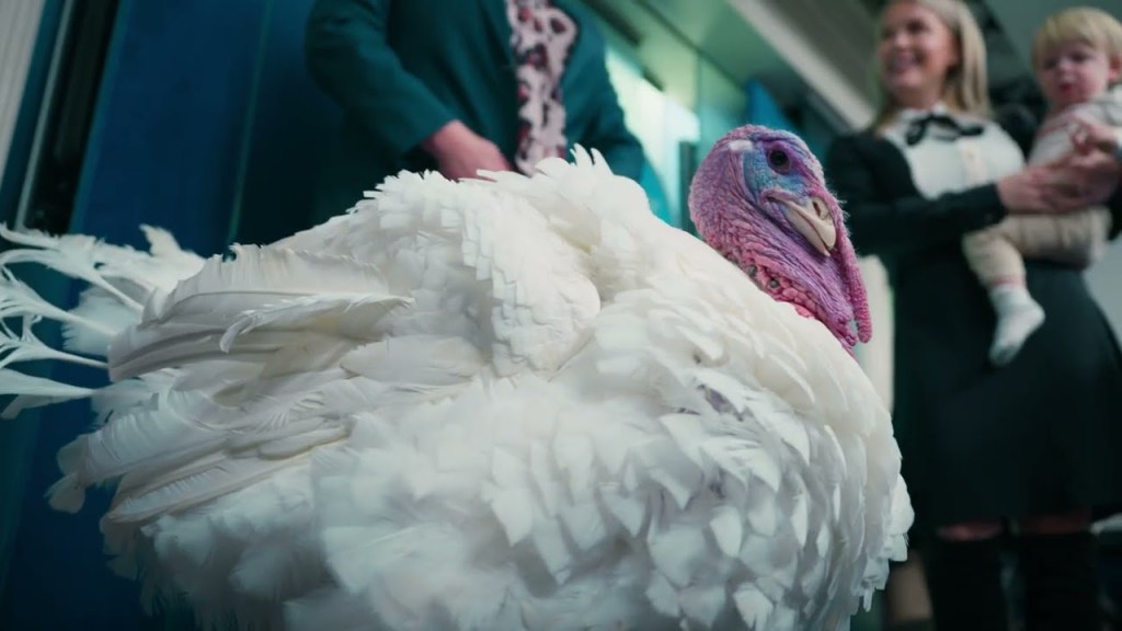 President Trump and First Lady Melania Trump Participate in the 2025 Turkey Pardoning