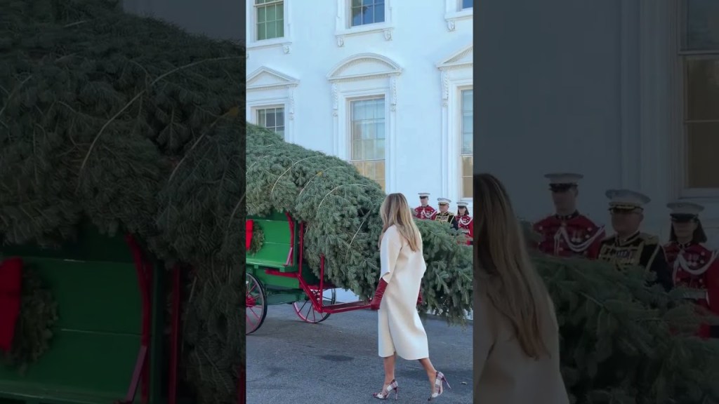 First Lady Melania Trump welcomes the official White House Christmas Tree