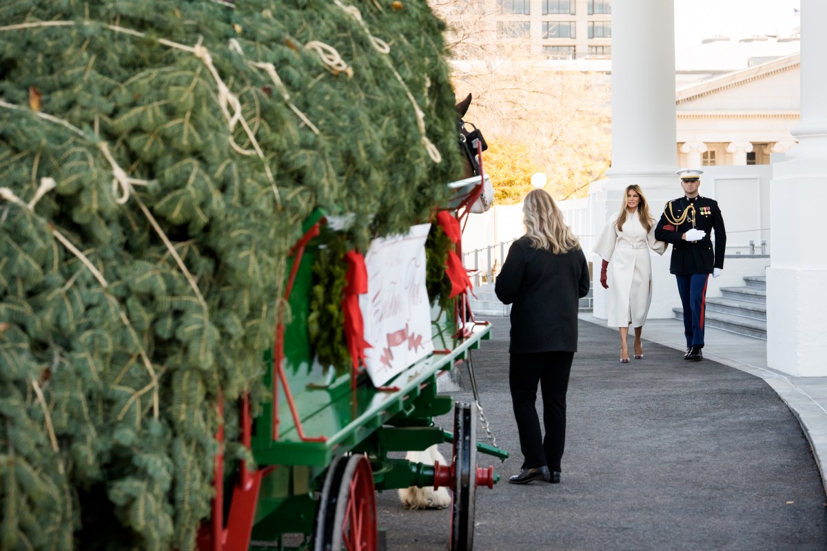 First Lady Melania Trump receives the official 2025 White House Christmas tree on Monday, November 24, 2025 a at The White House. (Official White House Photo by Andrea Hanks)