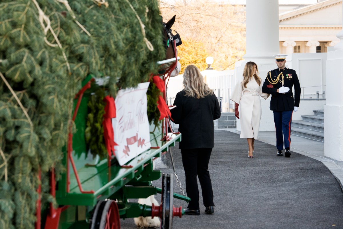 First Lady Melania Trump receives the official 2025 White House Christmas tree on Monday, November 24, 2025 a at The White House. (Official White House Photo by Andrea Hanks)