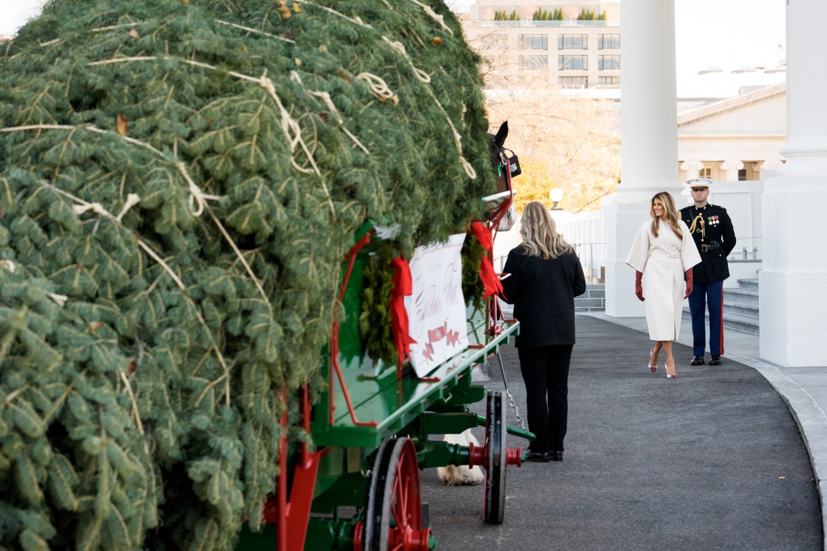 First Lady Melania Trump receives the official 2025 White House Christmas tree on Monday, November 24, 2025 a at The White House. (Official White House Photo by Andrea Hanks)