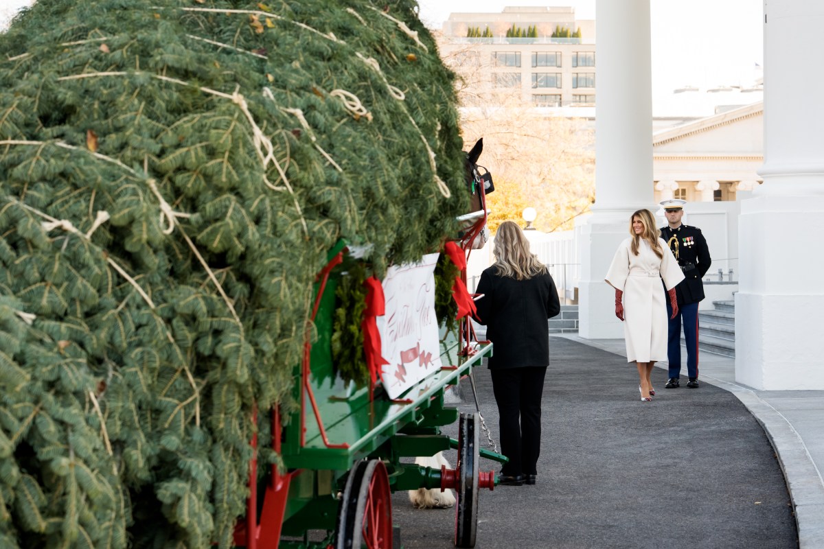 First Lady Melania Trump receives the official 2025 White House Christmas tree on Monday, November 24, 2025 a at The White House. (Official White House Photo by Andrea Hanks)