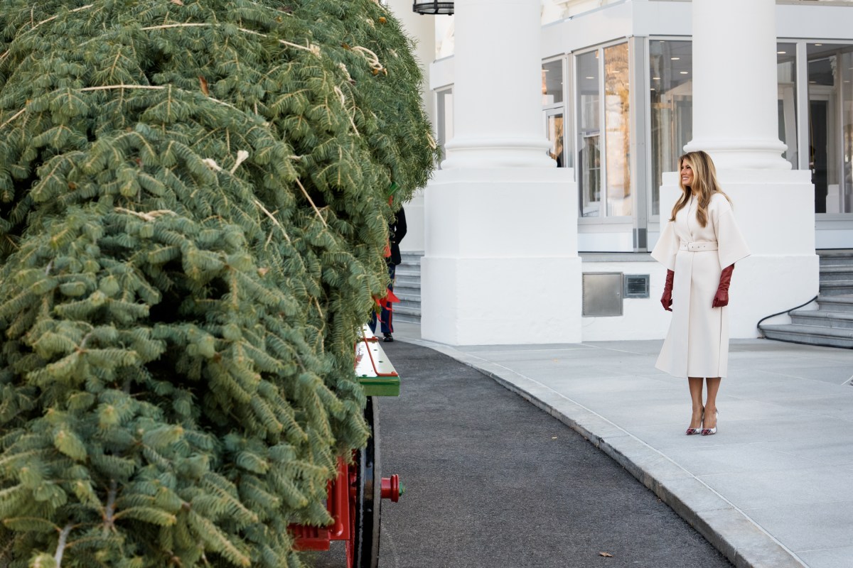 First Lady Melania Trump receives the official 2025 White House Christmas tree on Monday, November 24, 2025 a at The White House. (Official White House Photo by Andrea Hanks)