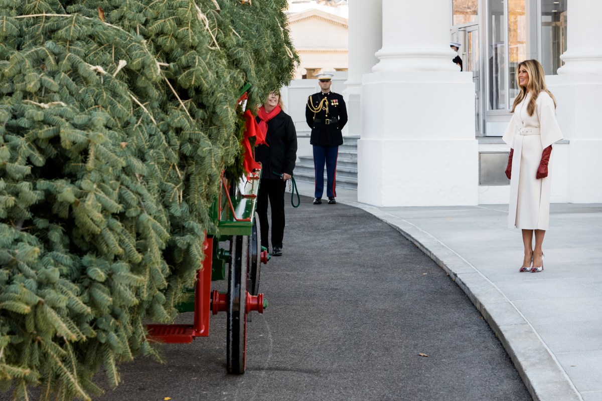 First Lady Melania Trump receives the official 2025 White House Christmas tree on Monday, November 24, 2025 a at The White House. (Official White House Photo by Andrea Hanks)