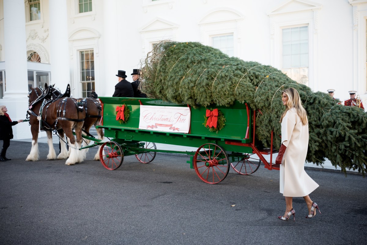 First Lady Melania Trump receives the official 2025 White House Christmas tree on Monday, November 24, 2025 a at The White House. (Official White House Photo by Andrea Hanks)