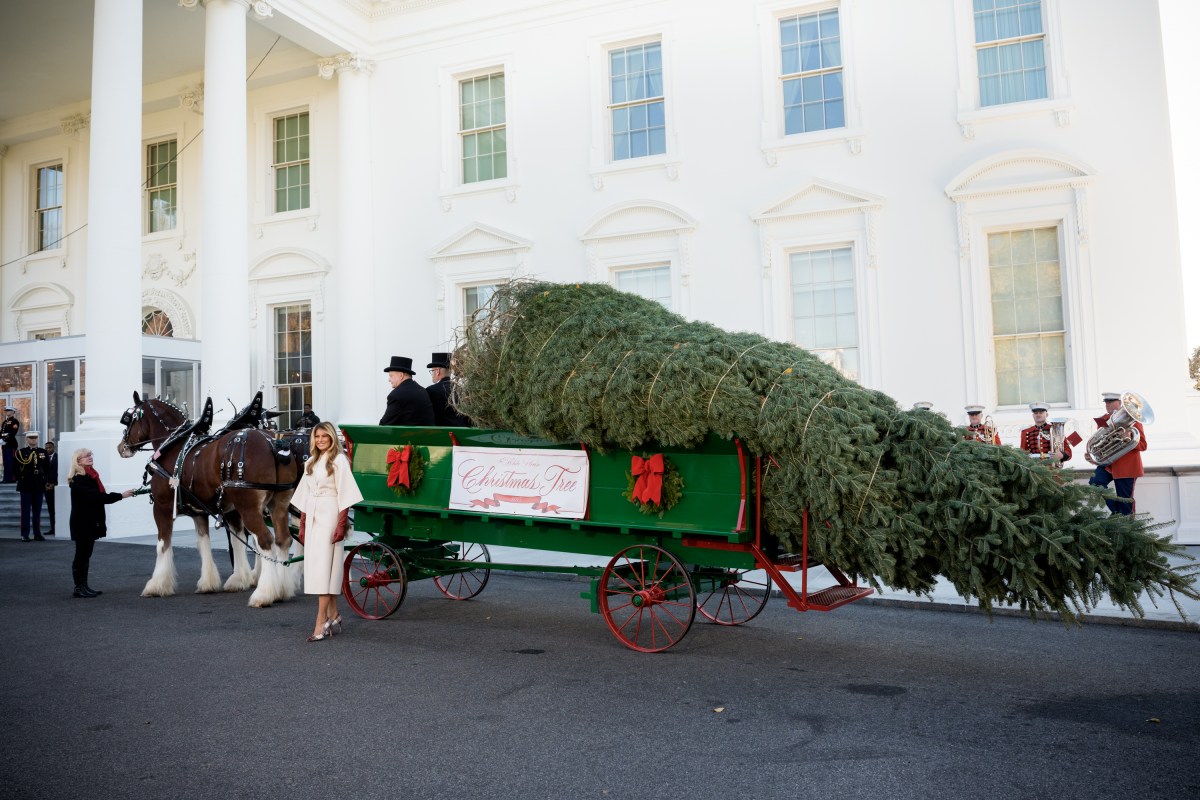First Lady Melania Trump receives the official 2025 White House Christmas tree on Monday, November 24, 2025 a at The White House. (Official White House Photo by Andrea Hanks)