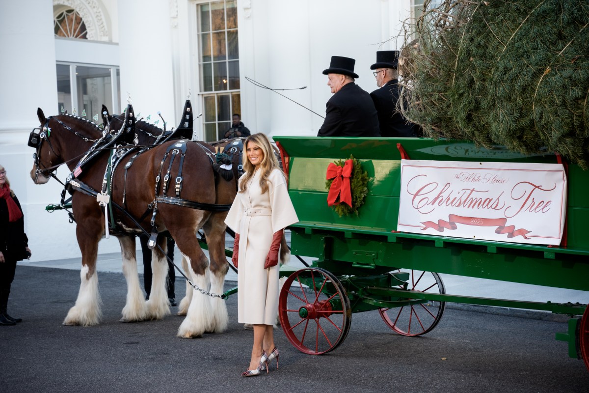 First Lady Melania Trump receives the official 2025 White House Christmas tree on Monday, November 24, 2025 a at The White House. (Official White House Photo by Andrea Hanks)