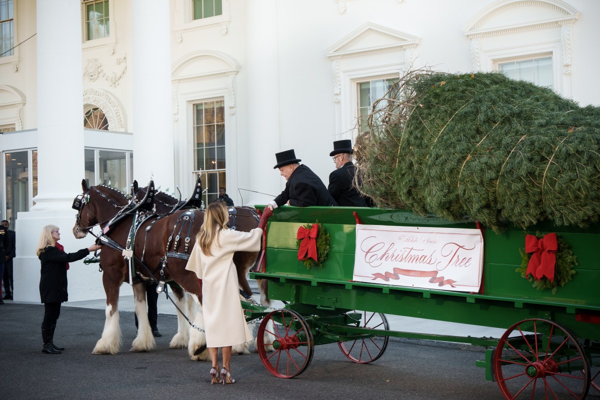 First Lady Melania Trump receives the official 2025 White House Christmas tree on Monday, November 24, 2025 a at The White House. (Official White House Photo by Andrea Hanks)