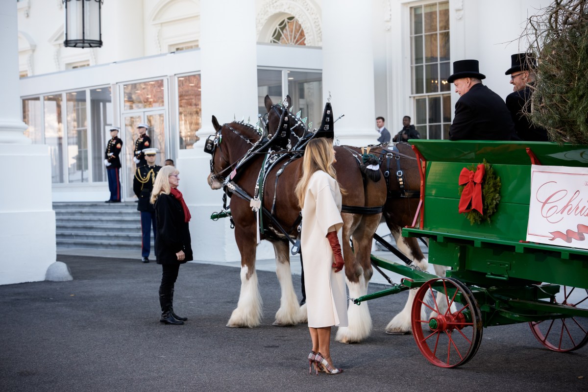 First Lady Melania Trump receives the official 2025 White House Christmas tree on Monday, November 24, 2025 a at The White House. (Official White House Photo by Andrea Hanks)