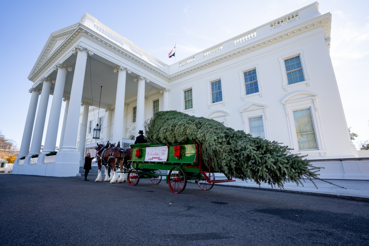 First Lady Melania Trump welcomes the official White House Christmas tree, Monday, November 24, 2025, at the North Portico. (Official White House Photo by (Patrick B. Ruddy)