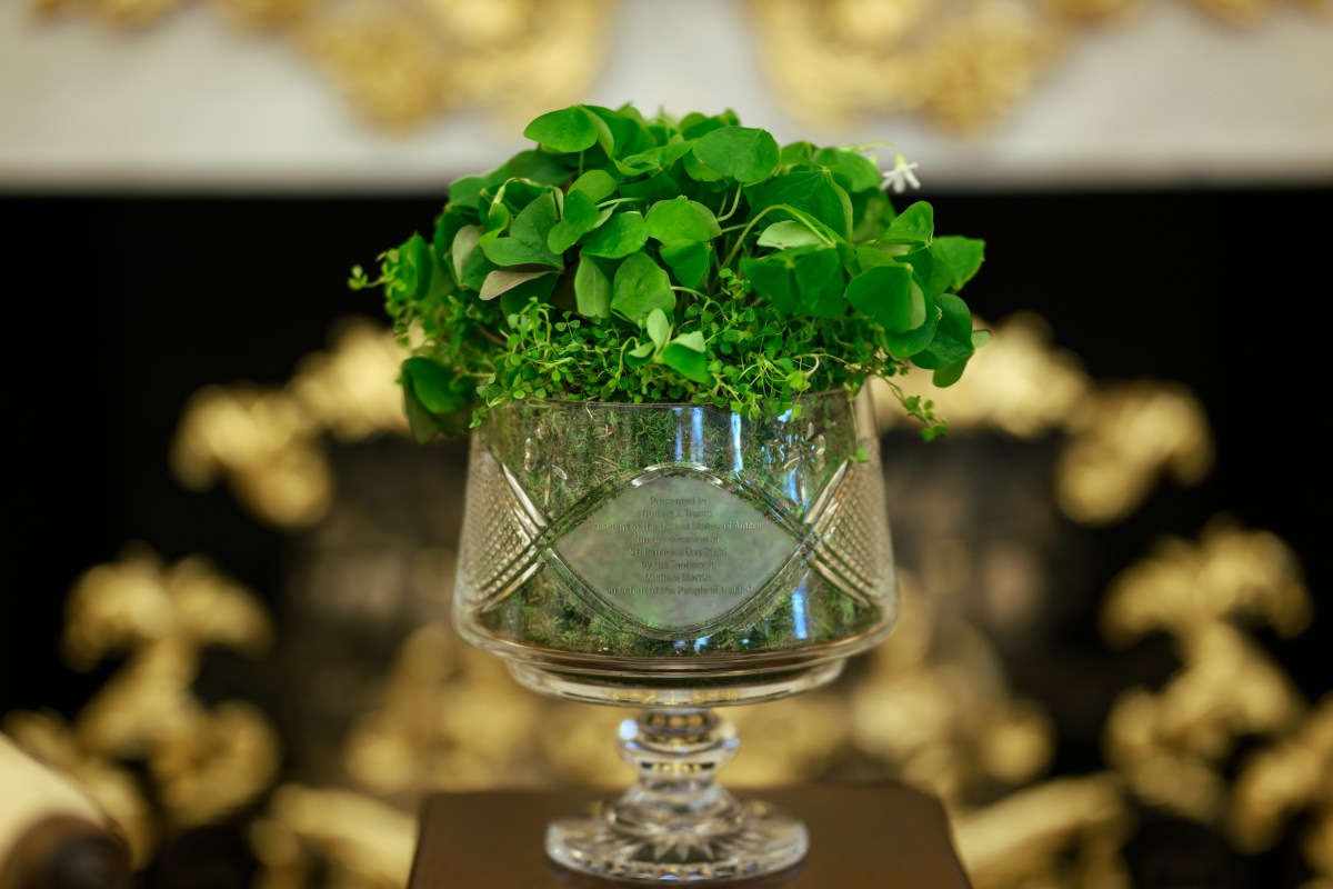 White House staff wait in the Oval Office before President Donald J. Trump greets Taoiseach of Ireland Micheál Martin at the South Portico of the White House, Tuesday, March 17, 2026. (Official White House Photo by Daniel Torok)