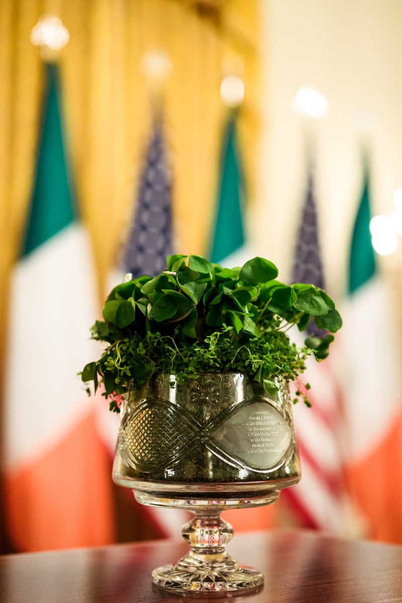 President Donald J. Trump delivers remarks at a Shamrock Reception in honor of St. Patrick’s Day, Tuesday, March 17, 2026 in the East Room of the White House. (Official White House Photo by Molly Riley)